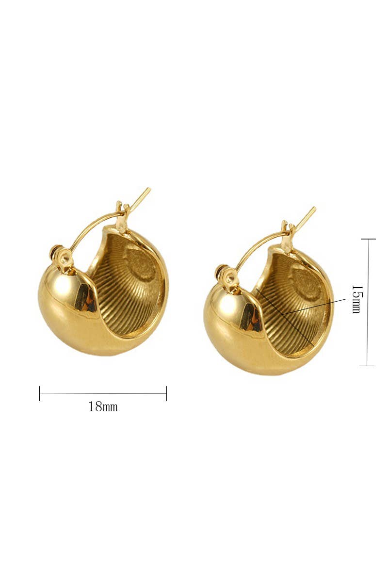 18K GOLD PLATED STAINLESS STEEL EARRINGS_CWAJE0377: SILVER / (OS) 1