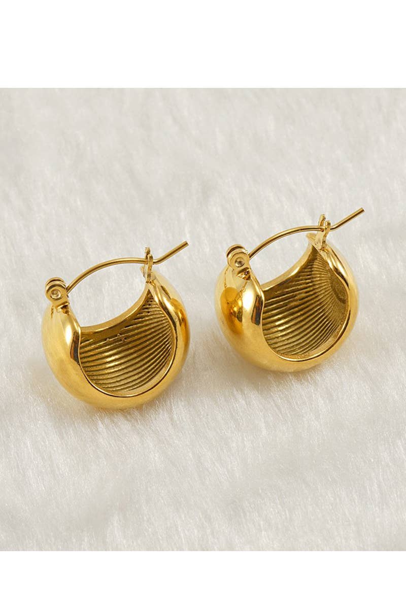 18K GOLD PLATED STAINLESS STEEL EARRINGS_CWAJE0377: GOLD / (OS) 1