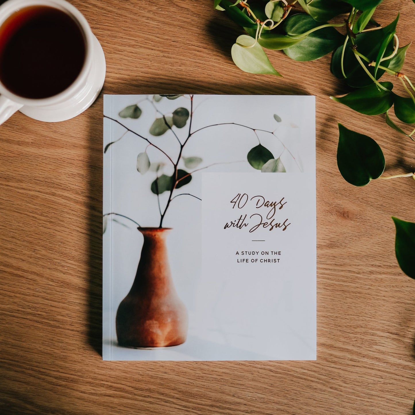 40 Days with Jesus | Lent Study- The Daily Grace Co.