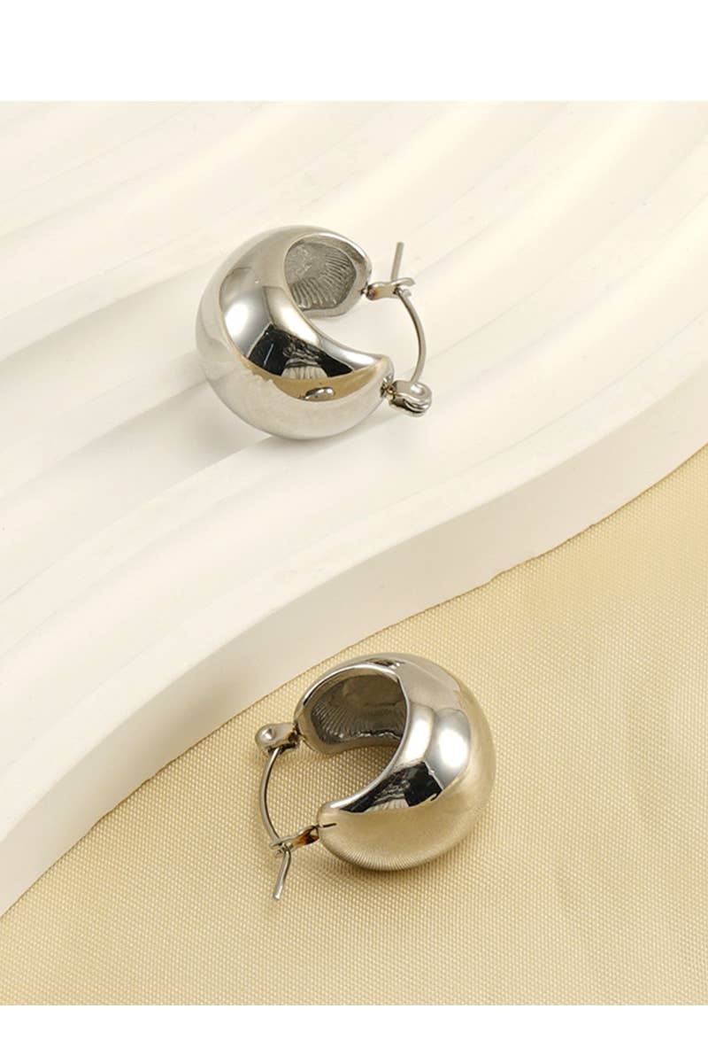 18K GOLD PLATED STAINLESS STEEL EARRINGS_CWAJE0377: SILVER / (OS) 1