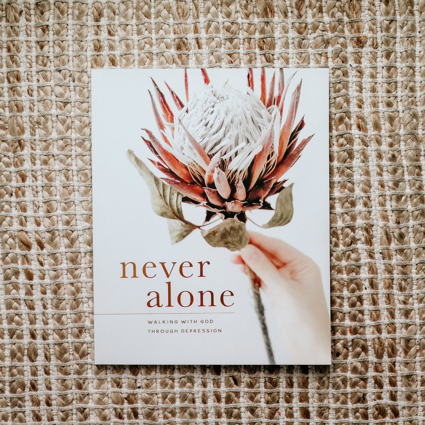 Never Alone Study- The Daily Grace Co.