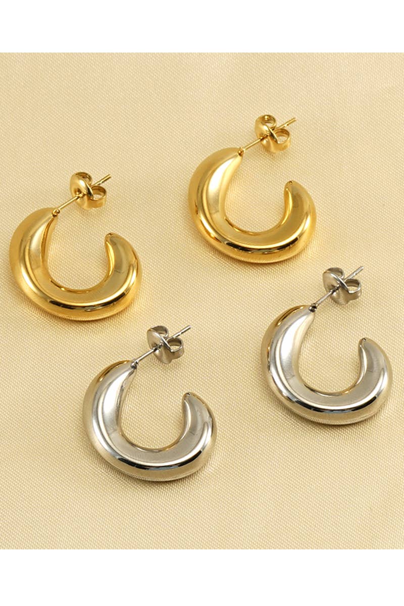 18K GOLD PLATED STAINLESS STEEL EARRINGS_CWAJE0387: GOLD / (OS) 1