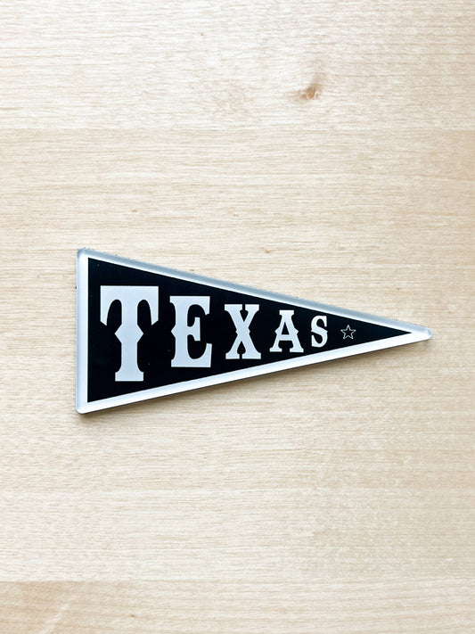 Texas Banner Magnet