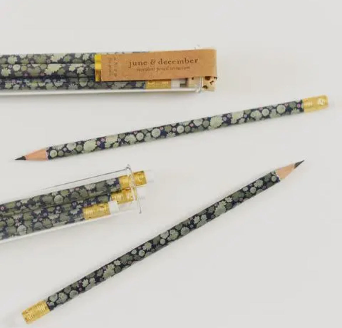 Succulent Pencil Terrarium, Set of 5 Pencils