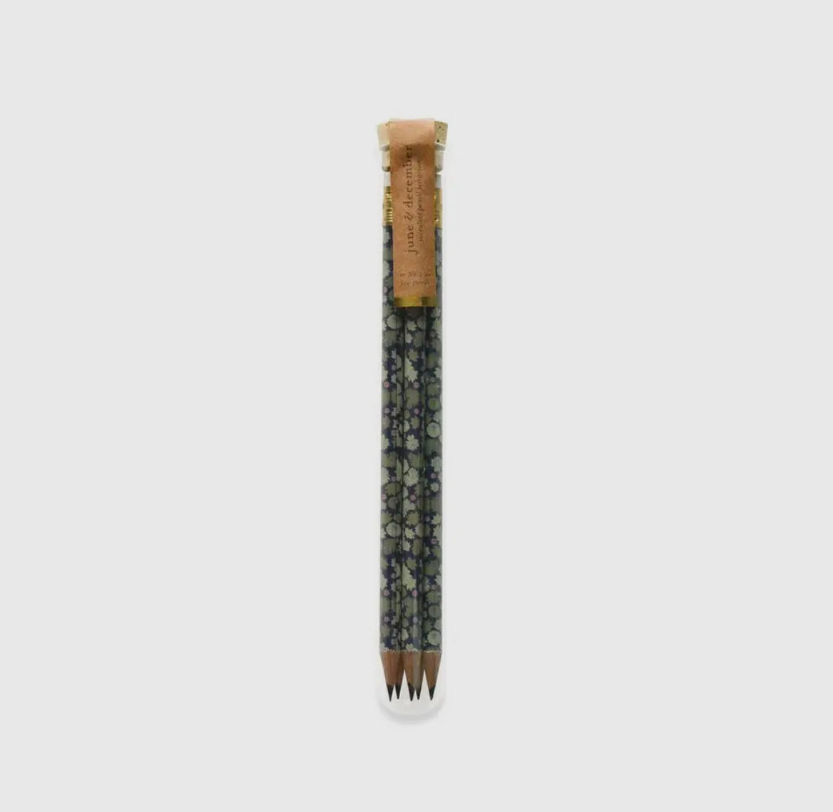 Succulent Pencil Terrarium, Set of 5 Pencils
