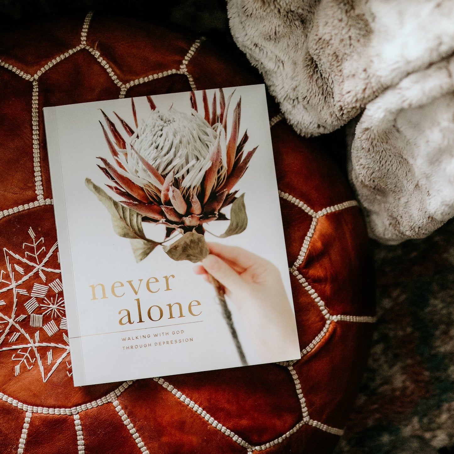Never Alone Study- The Daily Grace Co.